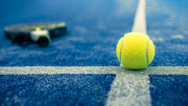 Quel type de clôture convient le mieux pour sécuriser une construction court de tennis à Chartres ?