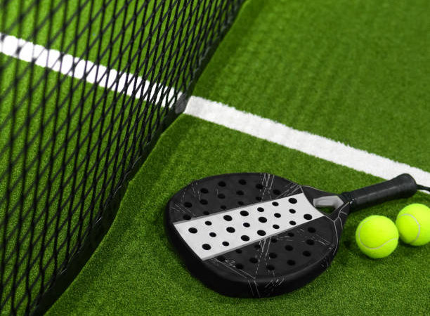 Comment intégrer une construction court de tennis en gazon synthétique à Nice dans un jardin méditerranéen ?